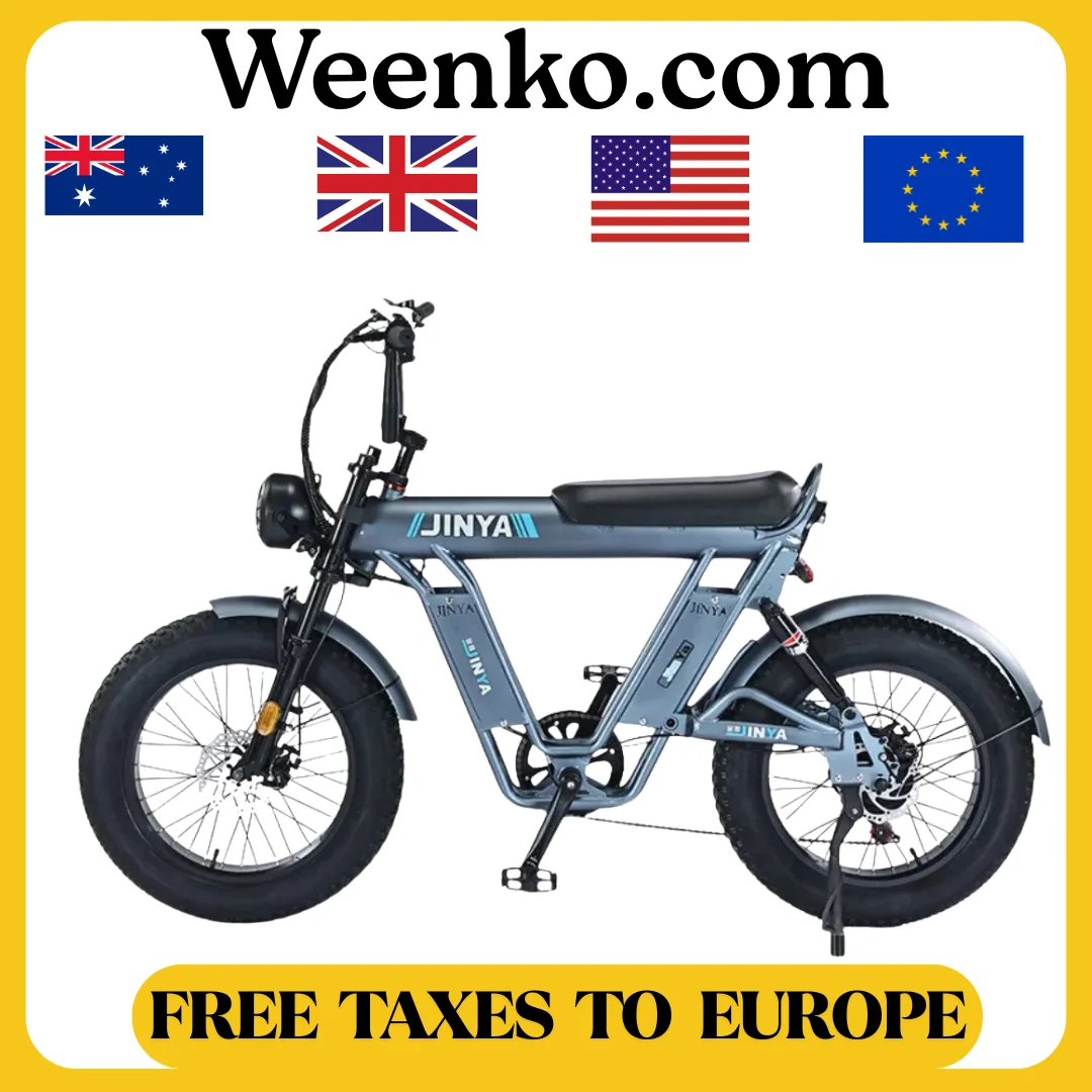 

2025 New Dirt Bikes Bike Mountain Electric Fat Tire Ebike Electric City Bike 48v Electric Sport Lithium Battery 48V 7 Speed