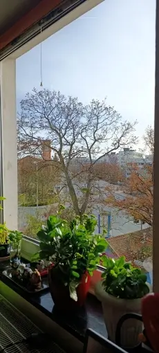 Zdjęcie od klienta 1