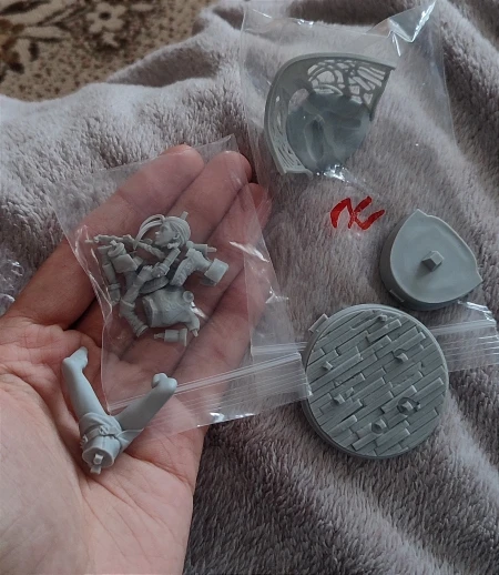 Buyer photo of this resin kit
