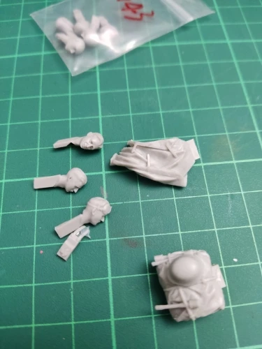 Buyer photo of this resin kit