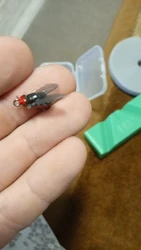 Imagen de reseña 1