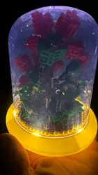 Imagen de reseña 3