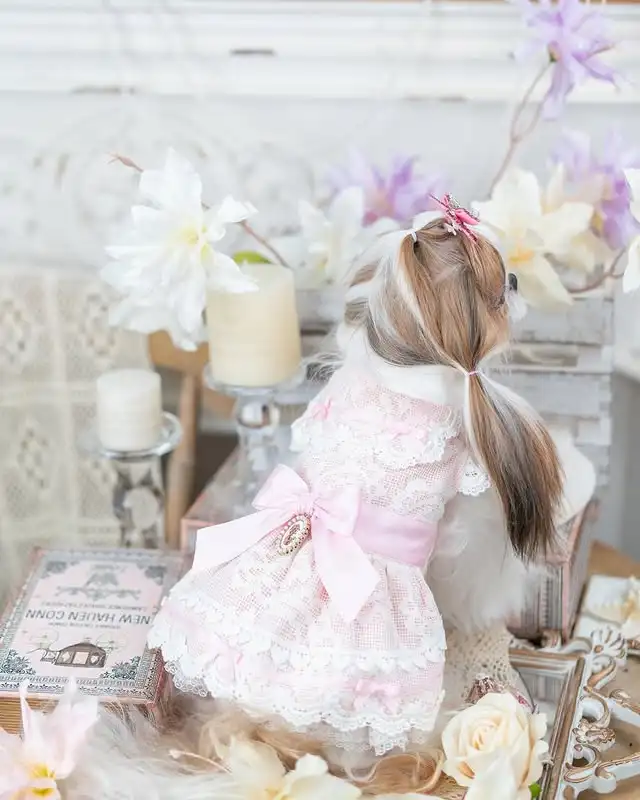 

Pink Lace Dog Dress with Bow – Elegant Small Pet Outfit