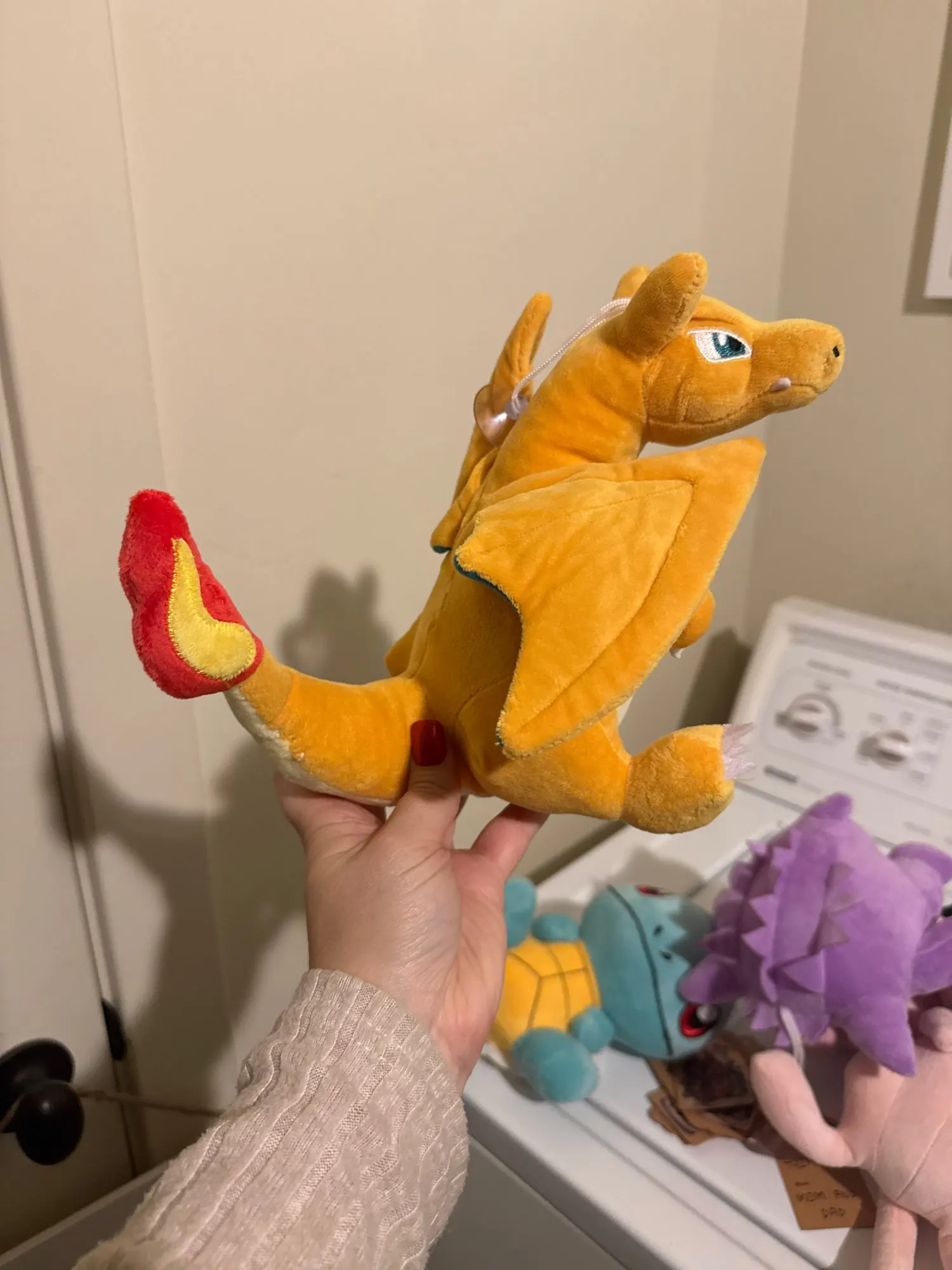 Customer review photo
