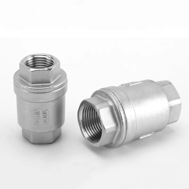 Válvula de retención unidireccional 1/4 "3/8" 1/2 "3/4" 1 "rosca hembra BSP Válvula de no retorno de acero inoxidable 304 para sellado de accesorios de tubería de bomba de agua