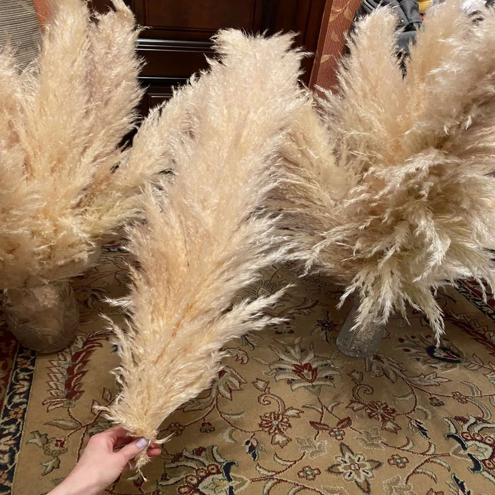 Boho Wedding Decor 80cm Large Plume Dry Fluffy Pampas Grass Natural Real Preserved Flower Fleur Sechees Mariage Decor