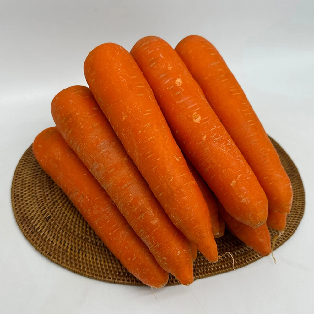 5kg / 10kg Gin Flavor Best Import Washing Carrot