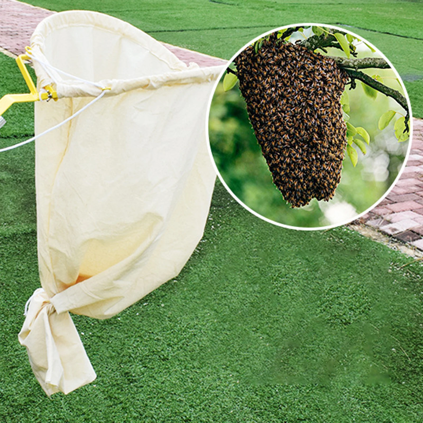 Swarming Catcher Gather Beekeeping Equipment,Swarm Trap Storage Case,Beekeeping Catchers Reusable Tool Beekeeping Cage