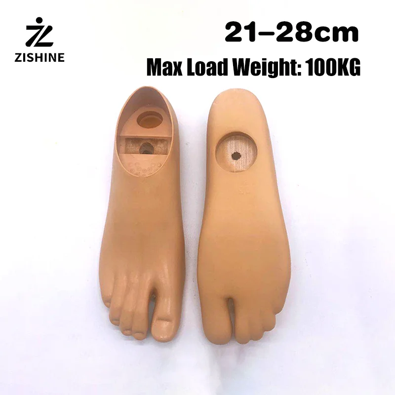 

Single Axis Dynamic Motion Prosthetic Leg Foot for Below Knee Amputees Artificial Limb Feet 100KG 21-30cm Left Right Feet