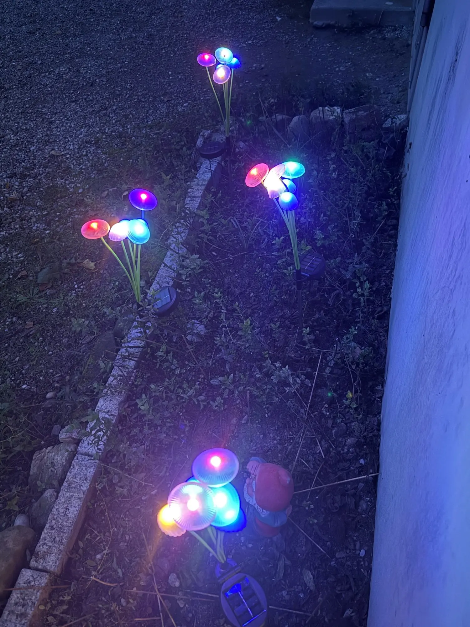 Solar Garden Lights Dual Mode LED Solar Mushroom Lights Waterproof Decor Yard Patio Pathway Jellyfish for Garden Ambiance photo review