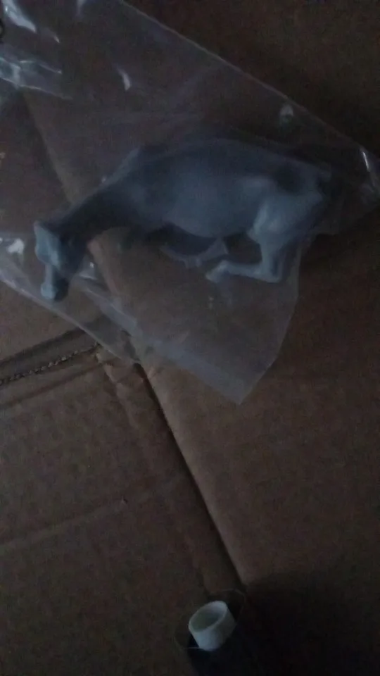 Buyer photo of this resin kit