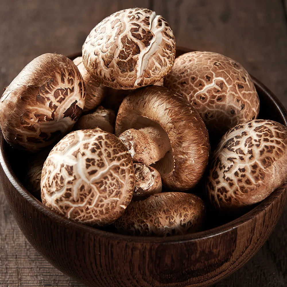 Hongos Shiitake frescos domésticos certificación Gap 1kg