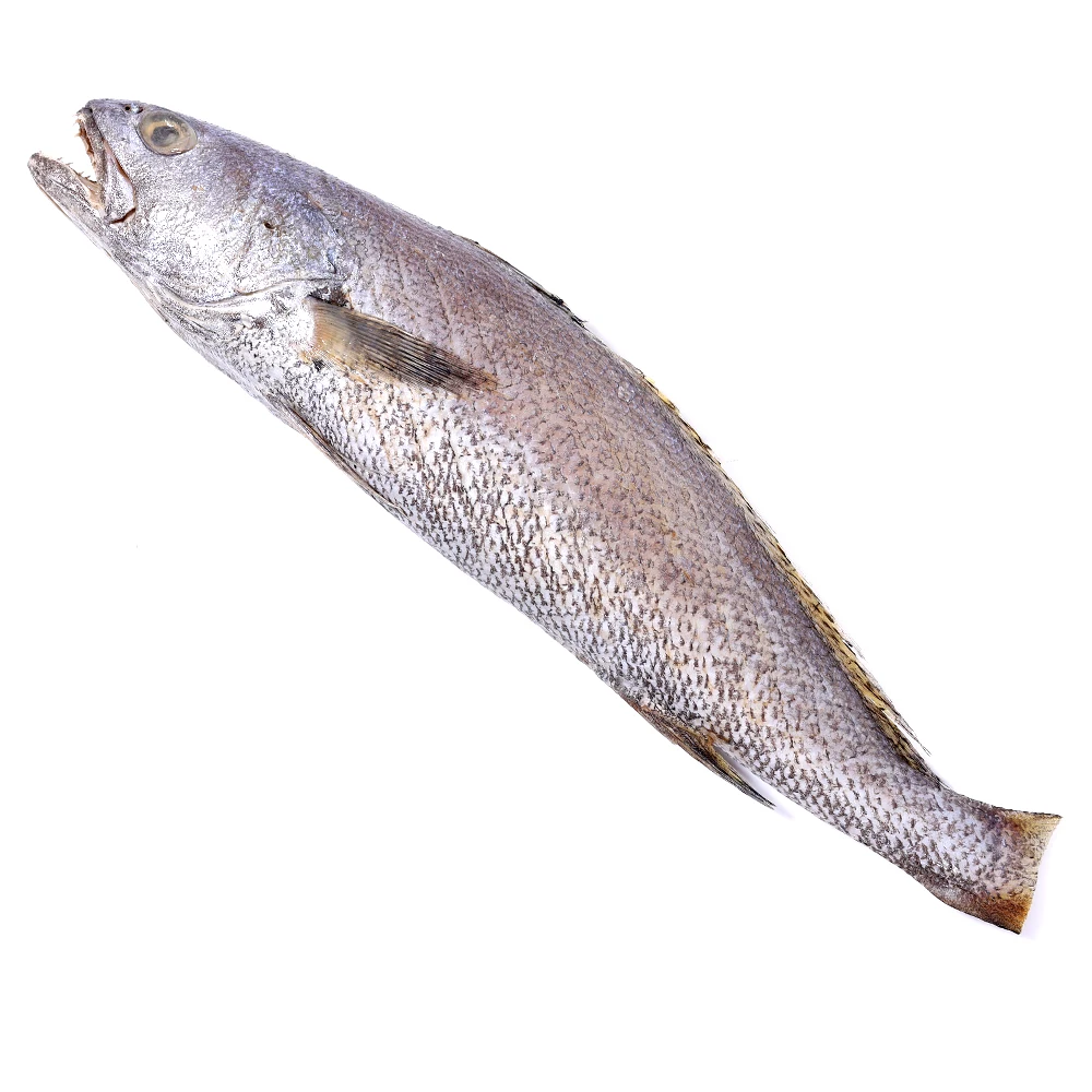 HJ-كروكر بحري محلي من يوسو ، 3 مواسم ، حوالي شو جي إجمالاً