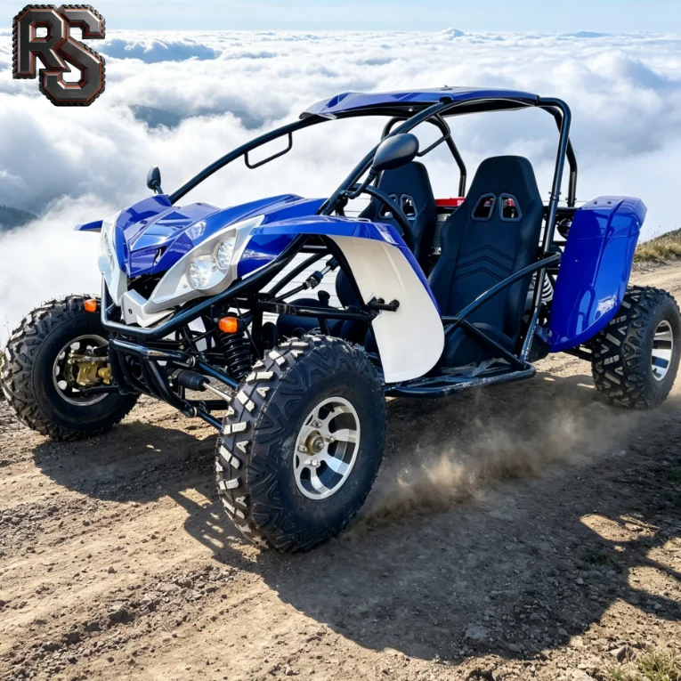 JB Raxen Ready Stock Best Price Utv 300cc Manufacturer Mountain Trails