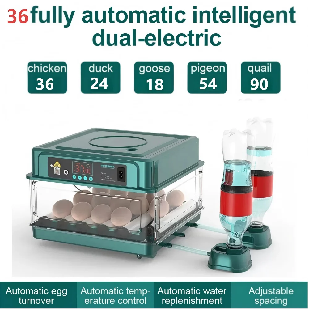 Incubateur entièrement automatique pour 36 œufs, incubateur agricole 220V, retournement automatique des œufs, équipement d'incubation à température contrôlée, couveuse à poussins ; incubateur avicole à température et humidité constantes avec retournement automatique des œufs et lampe à œufs