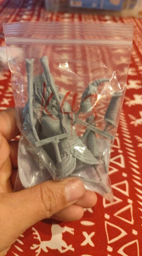 Buyer photo of this resin kit