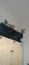 Imagen de reseña 2