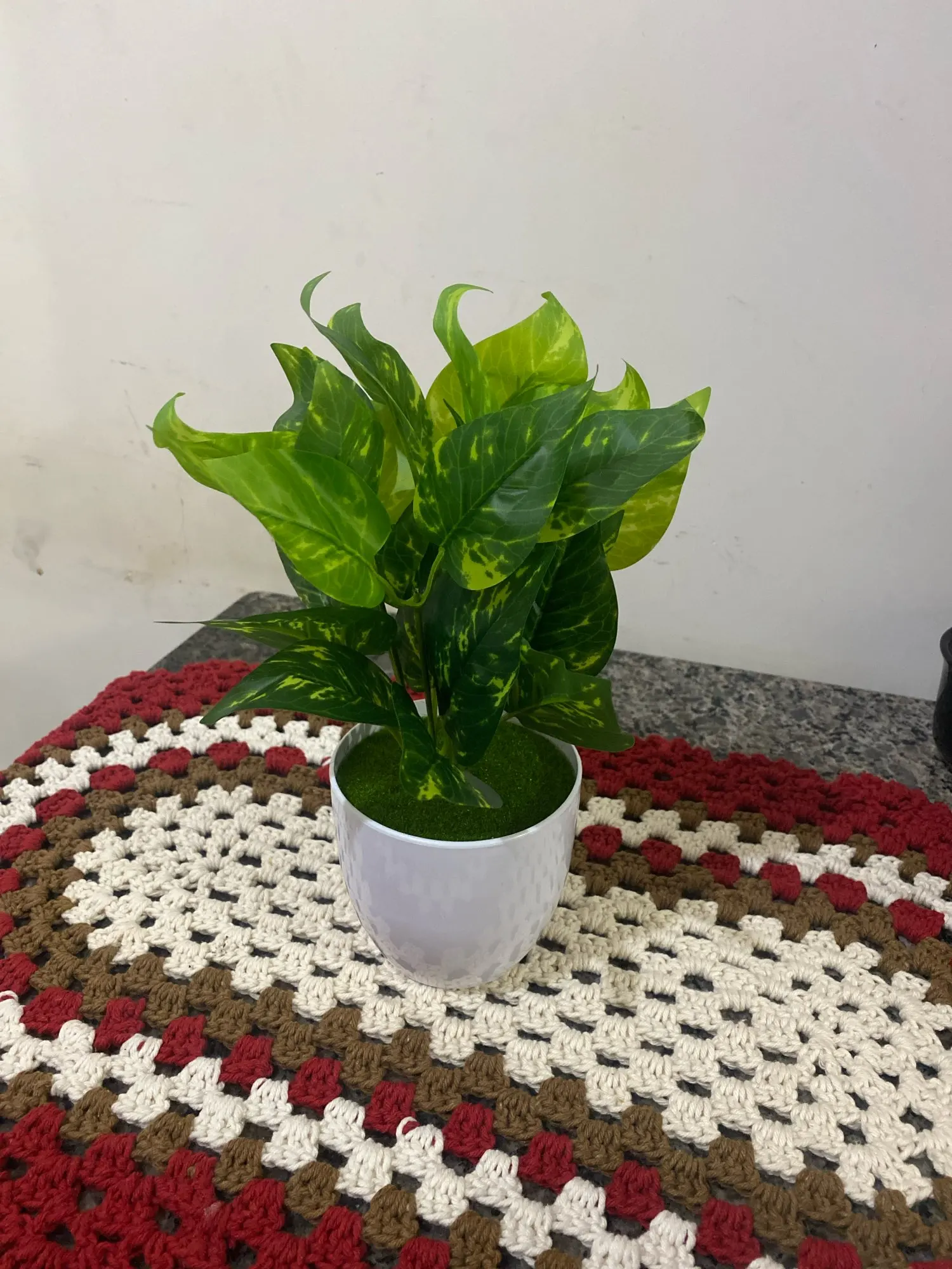 Customer photo