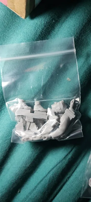 Buyer photo of this resin kit