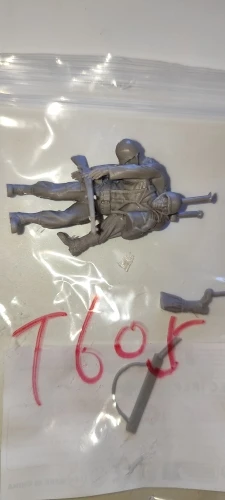 Buyer photo of this resin kit