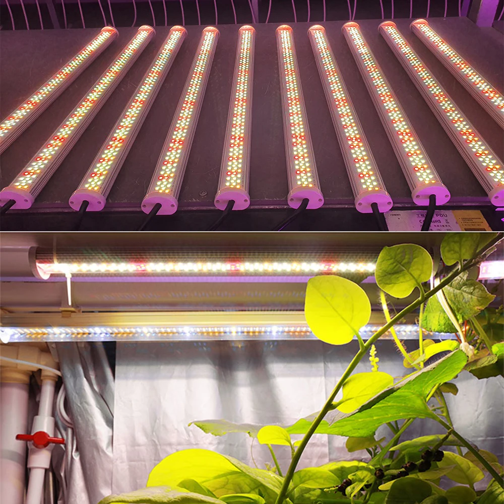 Imagem -06 - Lâmpadas Led para Cultivo de Plantas Hidropônicas Barra de Luz 220 Leds Espectro Completo Cultivo de Plantas Indoor Tenda com 10 Peças