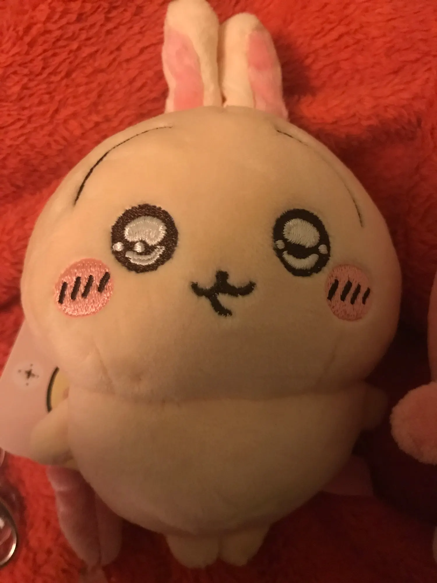 실물 포토 리뷰