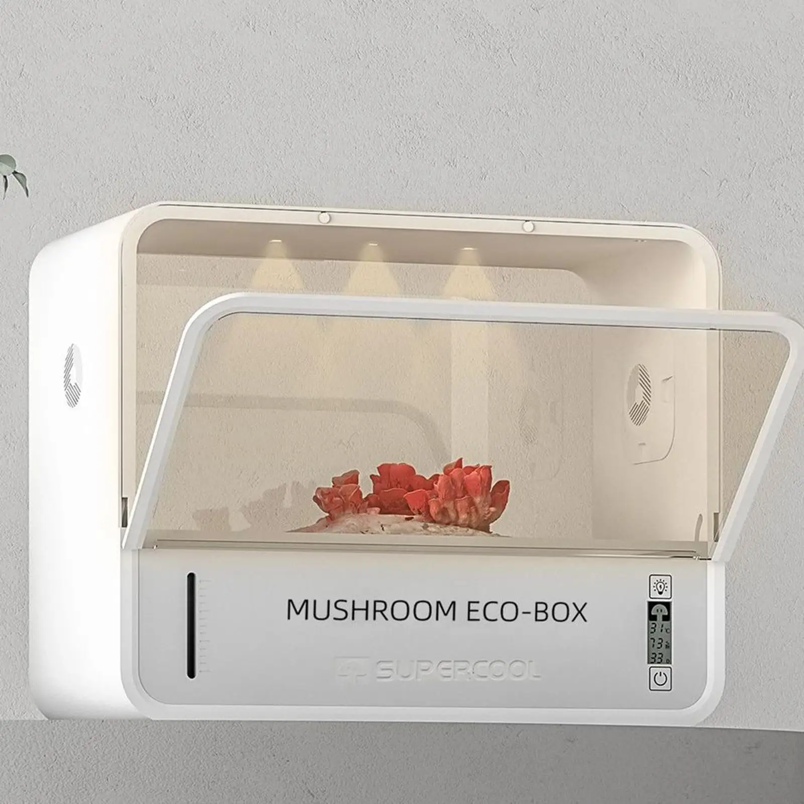 Still Air Box Adjusts Temperature Clear View Humidity with Grow Light Mushroom Fruiting Chamber Lovers Mycology Supplies