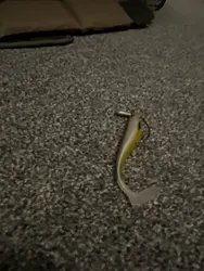 Imagen de reseña 4