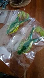 Imagen de reseña 1