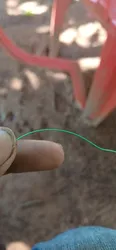 Imagen de reseña 5
