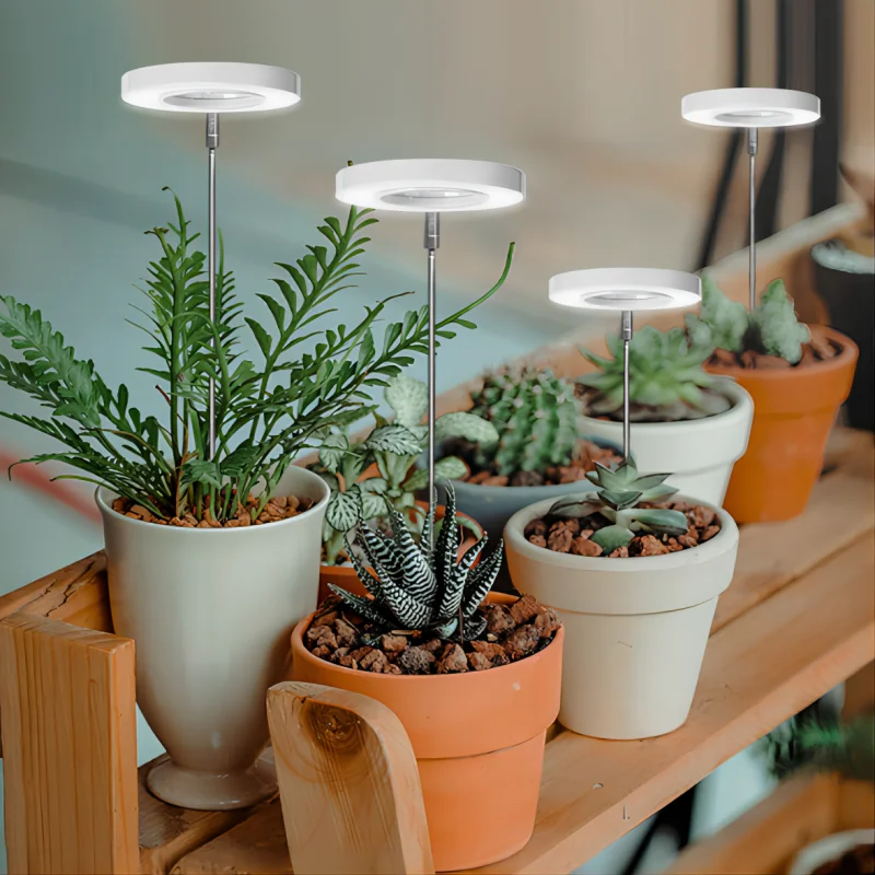 Full Spectrum LED Grow Light Adjustable Dimmable Lamp with Timer Telescopic Stand for Indoor Plant Hydroponics Succulent Growing image 2