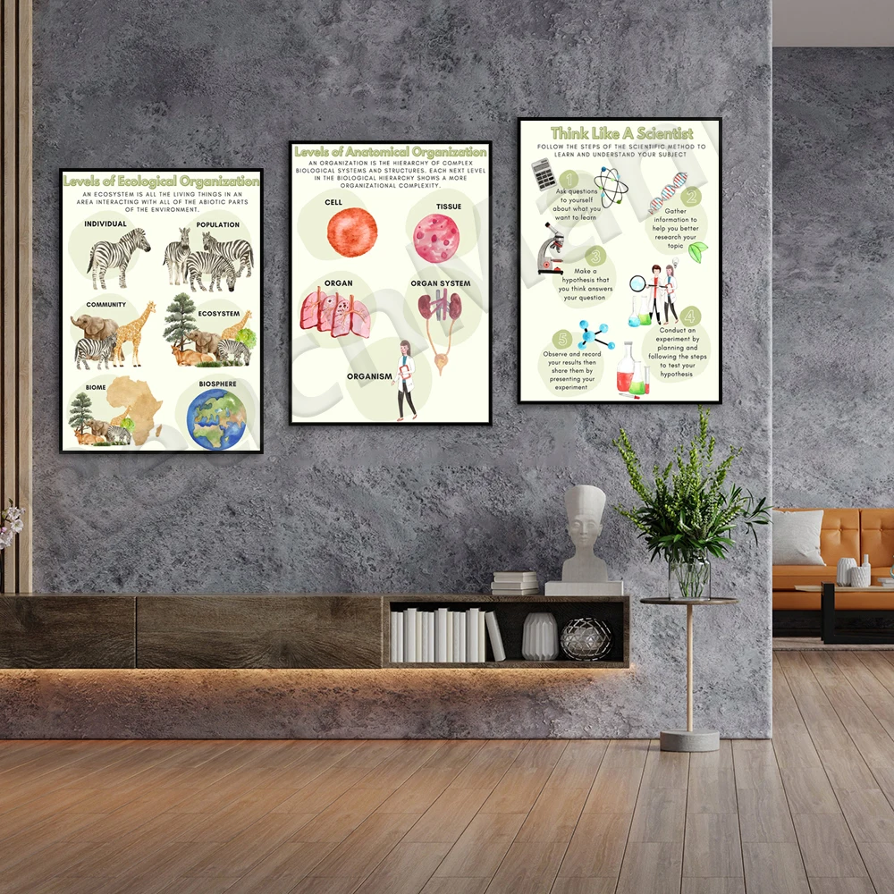 Fun Biological Science School Education Wall Art Canvas Painting Nordic Posters and Printed Wall Pictures for Classroom Decor