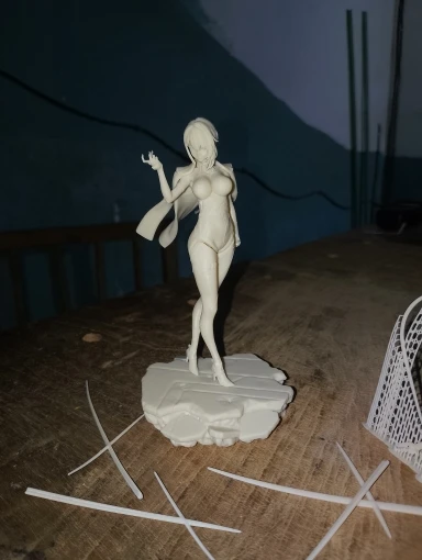 Buyer photo of this resin kit
