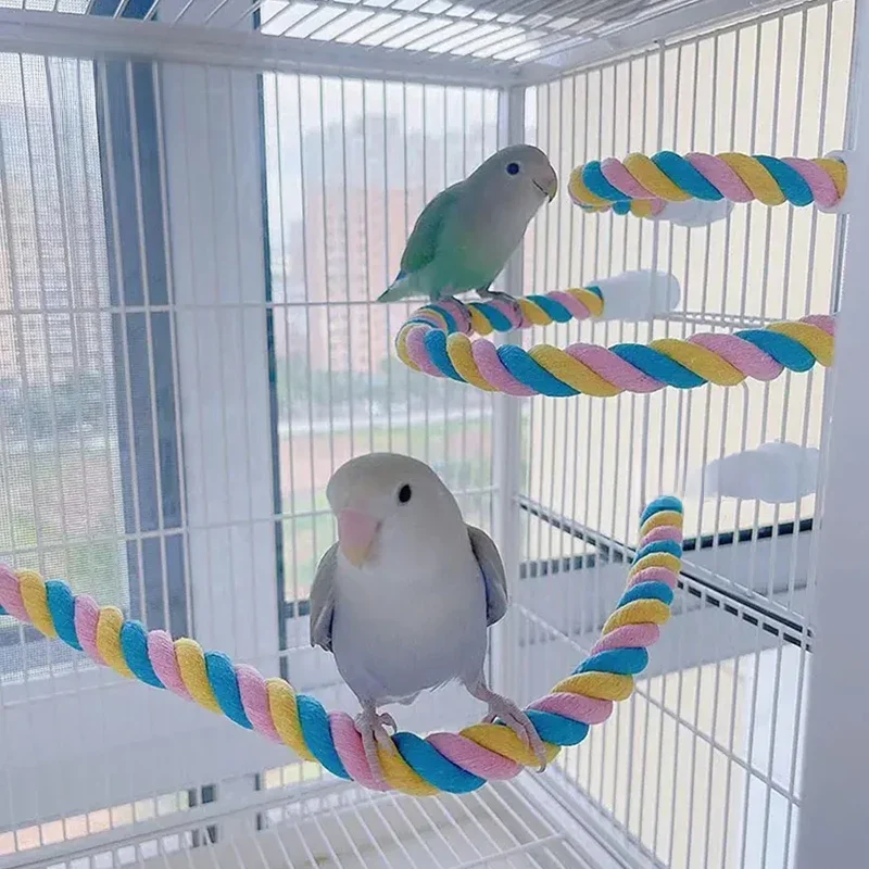 1 jouet à mâcher pour oiseaux de compagnie, jouet en corde de coton coloré pour perroquet, jouets élastiques pour grimper aux perroquets, balançoire robuste pour oiseaux, jouet de cage pour oiseaux,