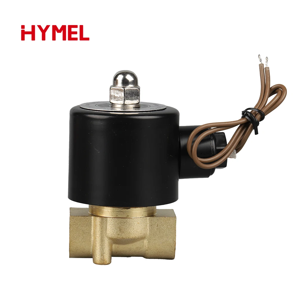 전기 솔레노이드 밸브 공압식 일반적으로 닫힘형 물 오일 공기용 - 다양한 크기 가능 12V 24V 220V 110V