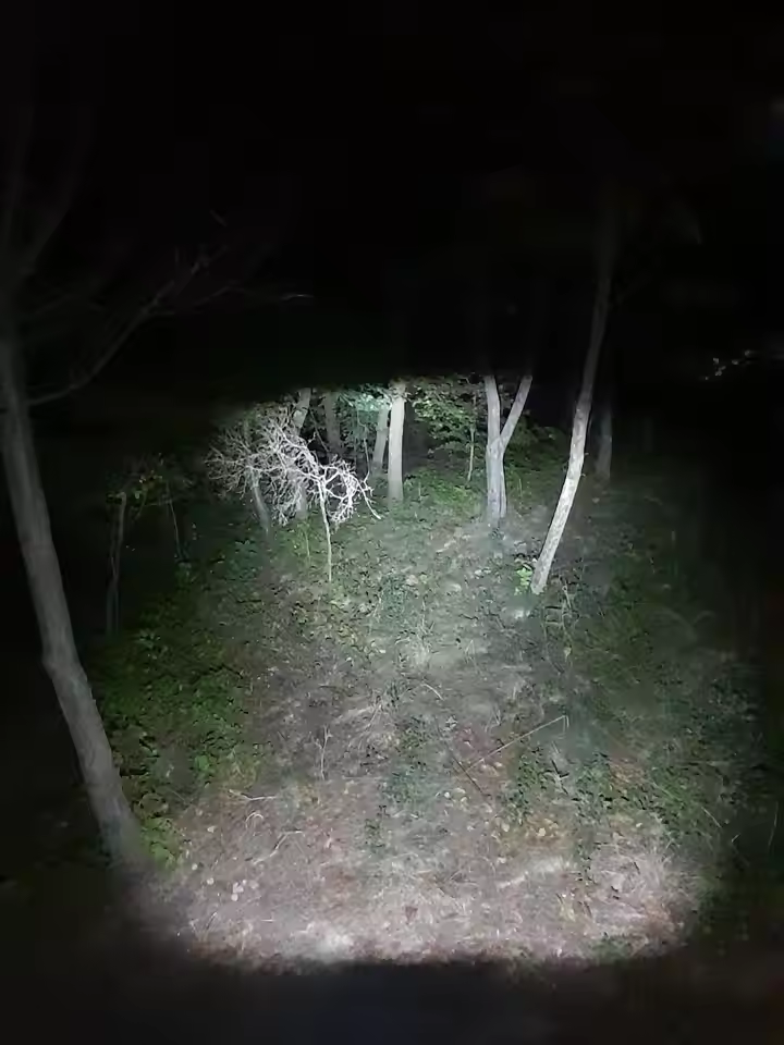 Ae2f8ee612cb0440a9139e755ade297feR.jpg_9