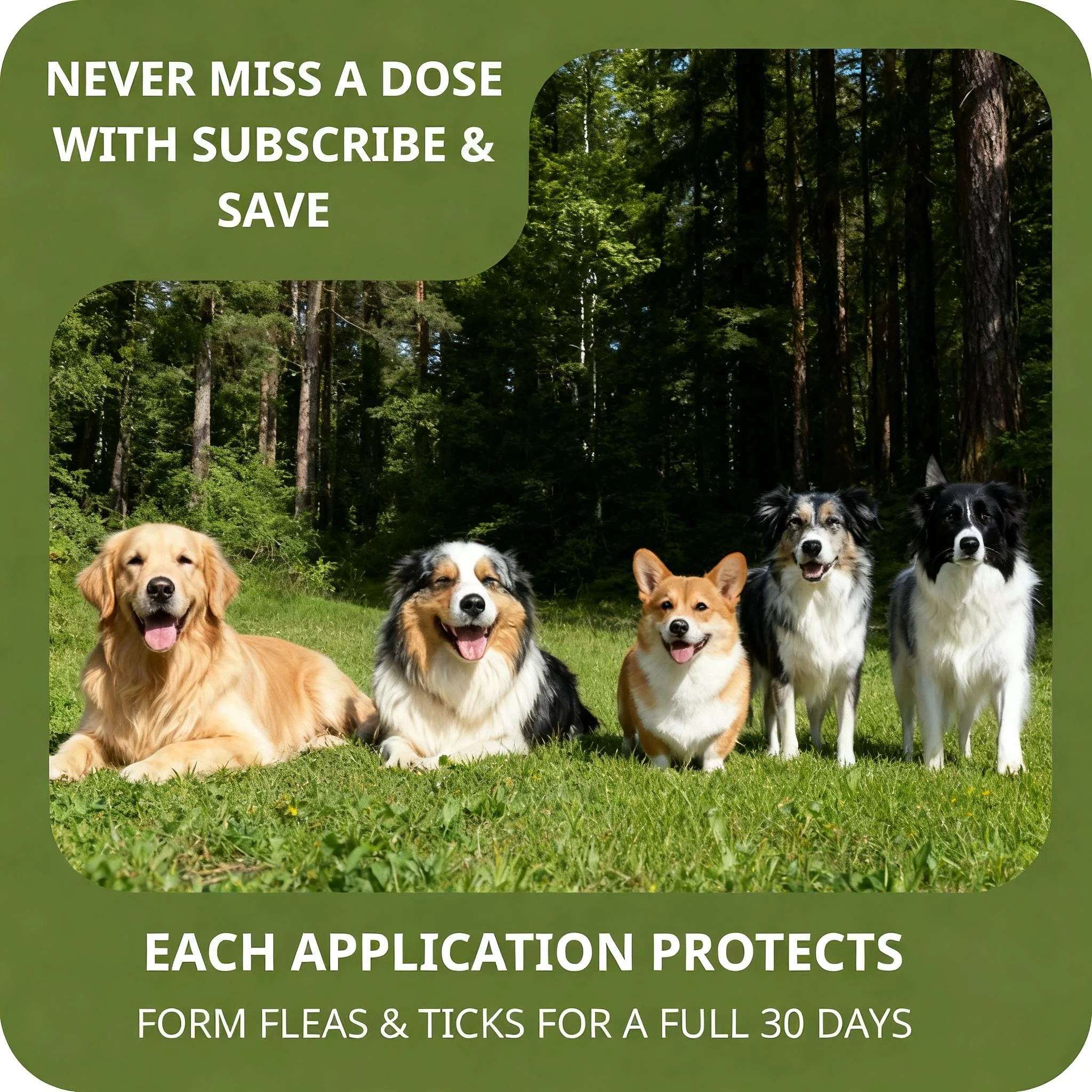 Pet Flea&tick Drops Effectively Repel Fleas Keep Skin Healthy Improve Hair Gloss Anti Skin Itching Pet External Deworming Drops
