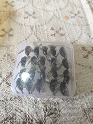 Imagen de reseña 1