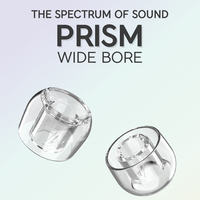 Divinus Prism Wide Bore LSR Earphone Eartips For 4-6mm Nozzle, Earphone Ear Tips for Dunu Davinci, AFUL Performer 5+2, JUZEAR