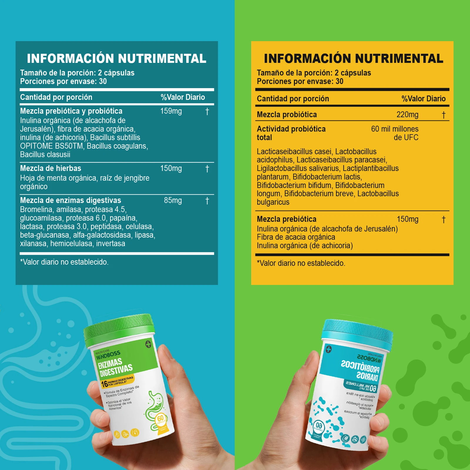 Alternative view of Windboss Fórmula Digestiva con Probióticos y Enzimas Naturales | Soporte Diario para el Bienestar Intestinal | Pack de 2 Frascos de 60 Cápsulas | Mezcla Prebiótica y Enzimas de Amplio Espectro