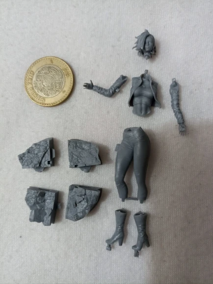 Buyer photo of this resin kit