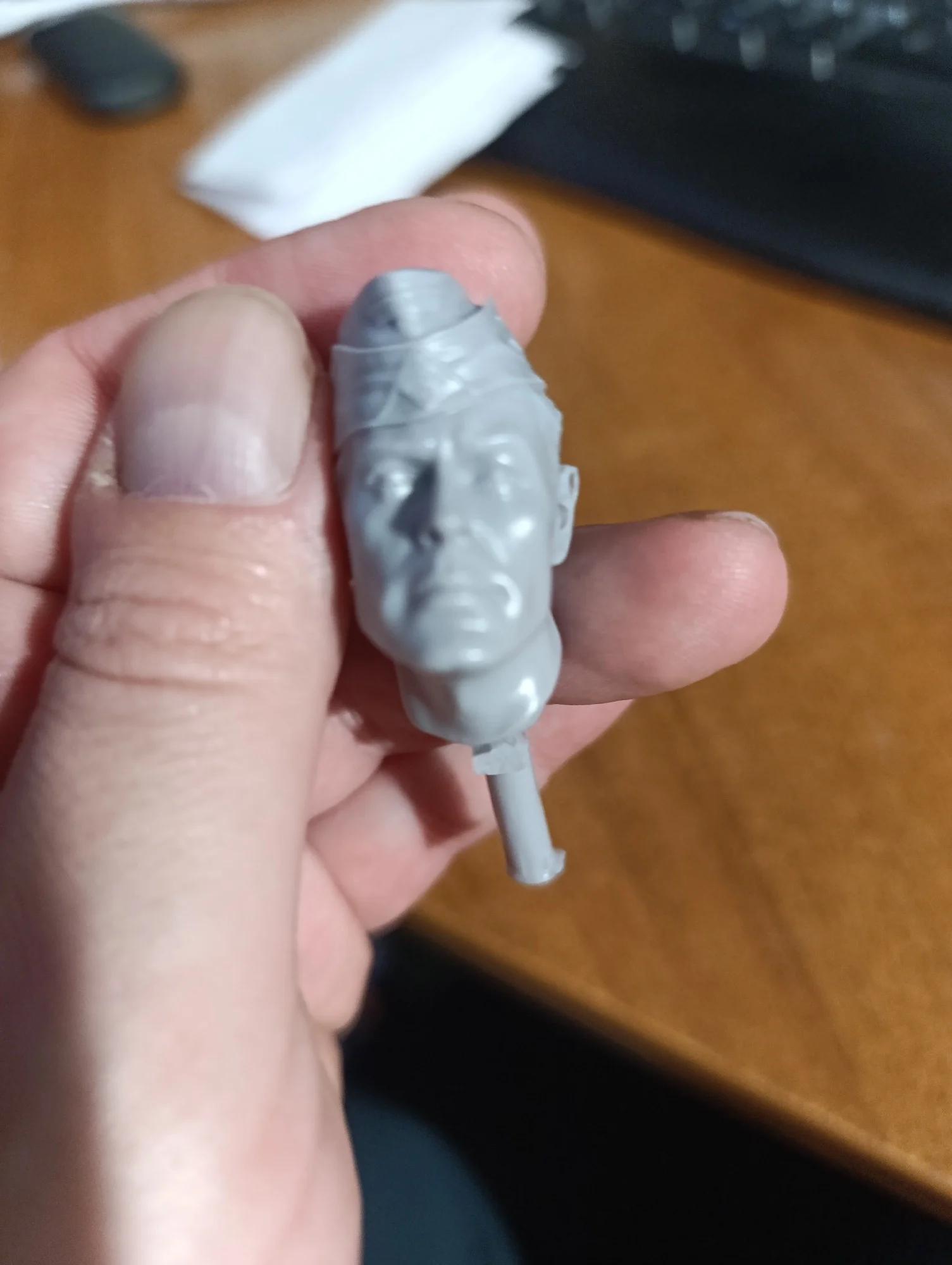 Buyer photo of this resin kit