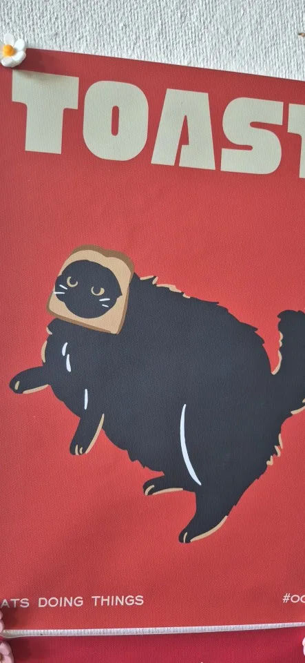 Modern Pop Black Cat Wall Art Print Funny Animal Poster Cute Kitten Illustration With Quotes Canvas Painting Gift Home Decor photo review