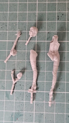 Buyer photo of this resin kit