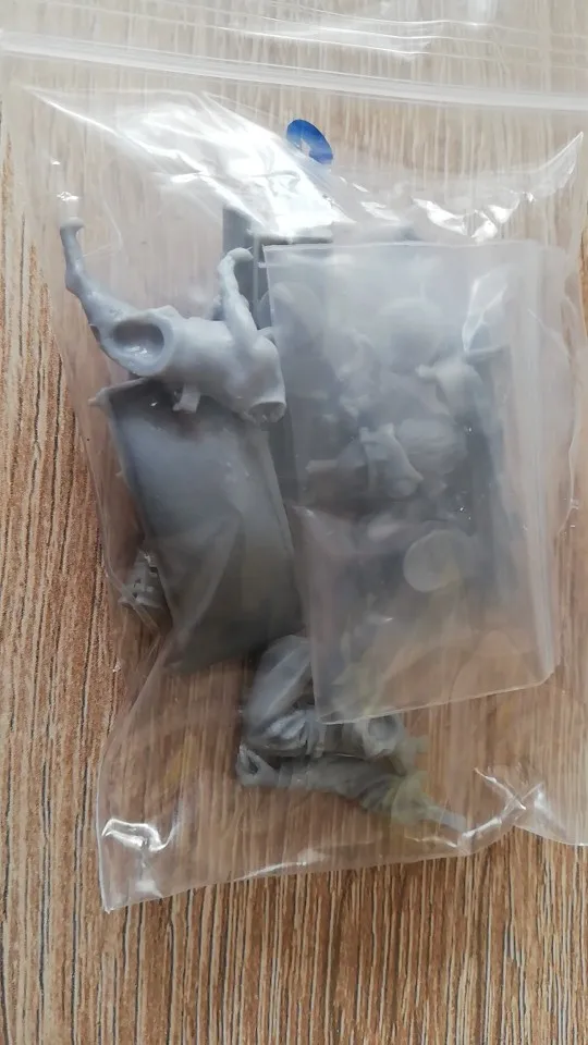 Buyer photo of this resin kit