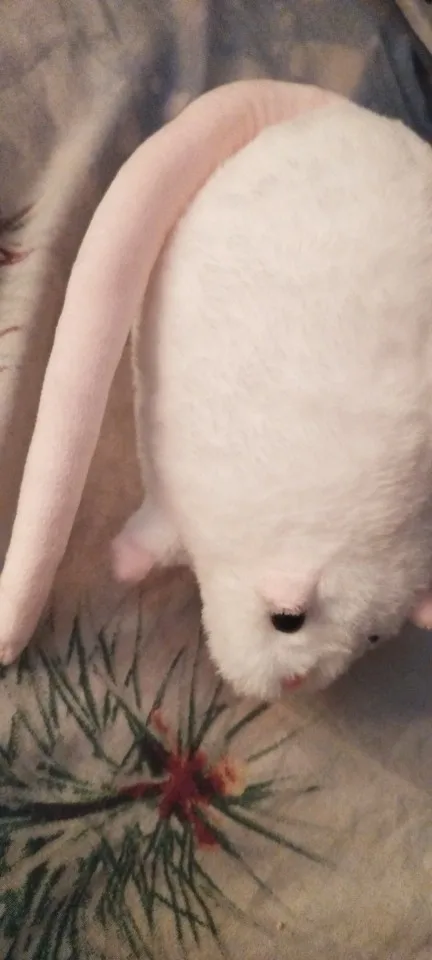 실물 포토 리뷰