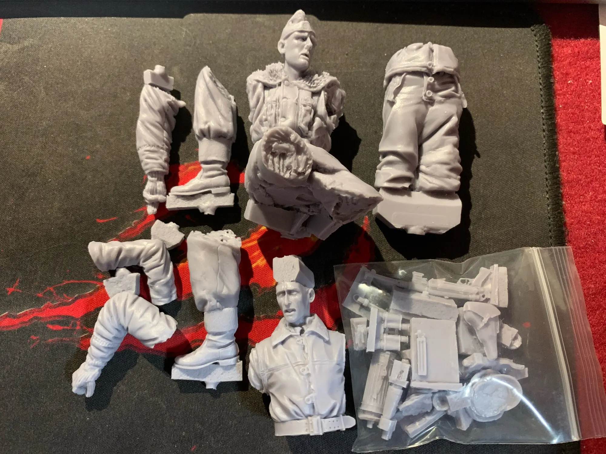Buyer photo of this resin kit