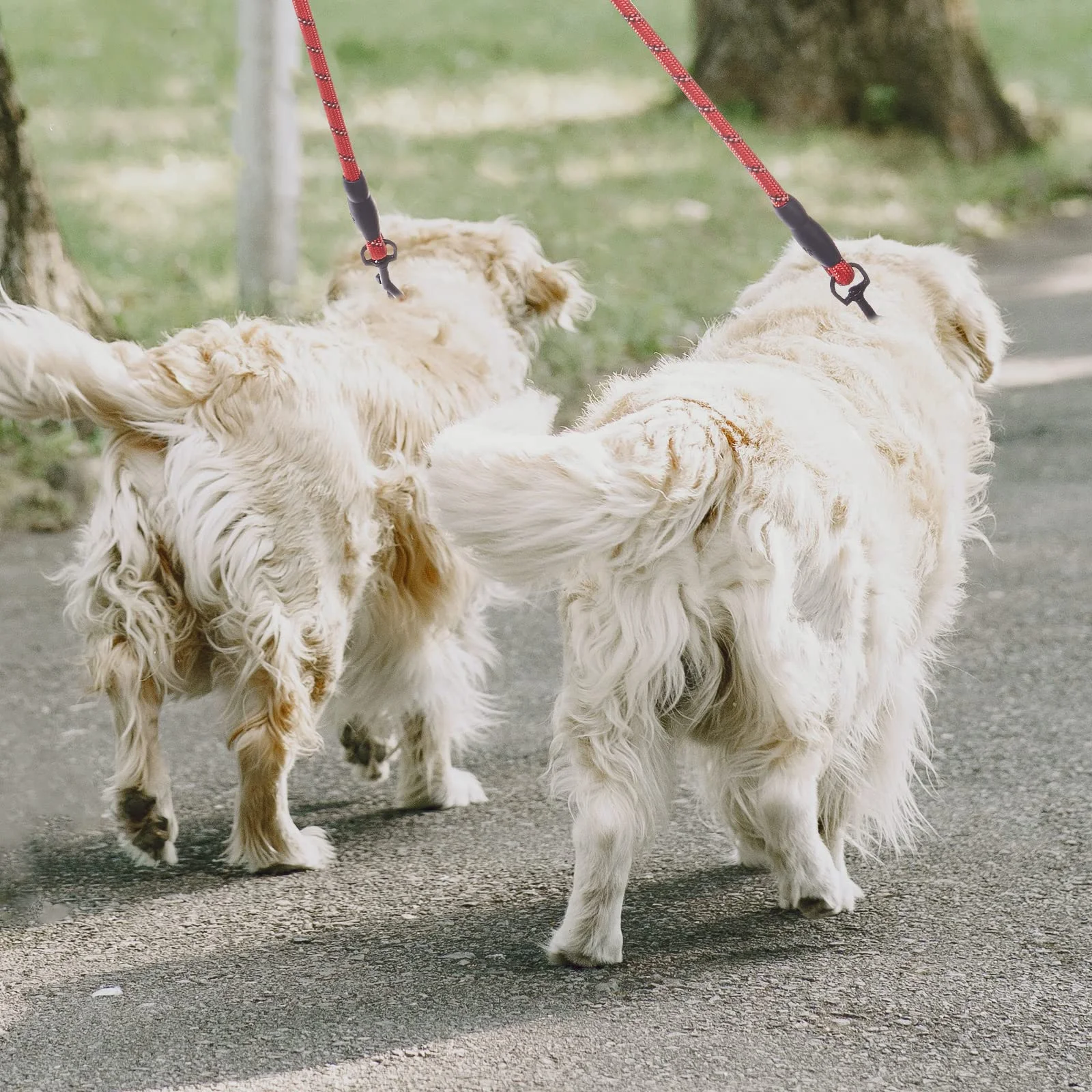 Double Dog Leash for 2 Dogs Walking, Adjustable Nylon Anti-tangle, Heavy Duty Leash for Small to Medium Dogs