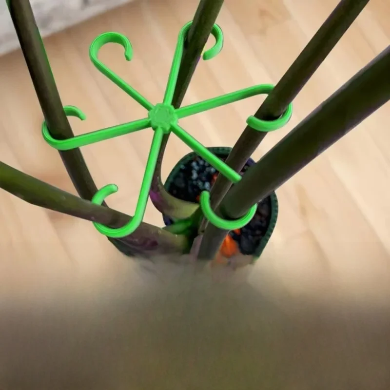 4 supports réutilisables pour plantes, organisateurs de tiges, outils de jardinage