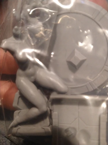 Buyer photo of this resin kit